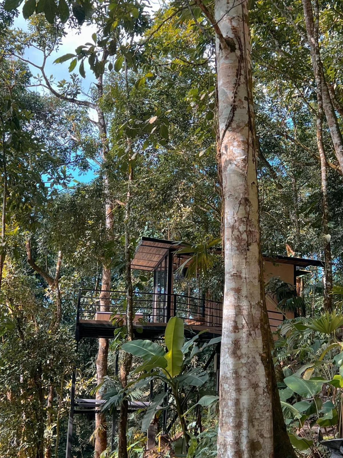 Rincon De La Sierra Minca Hotell Eksteriør bilde