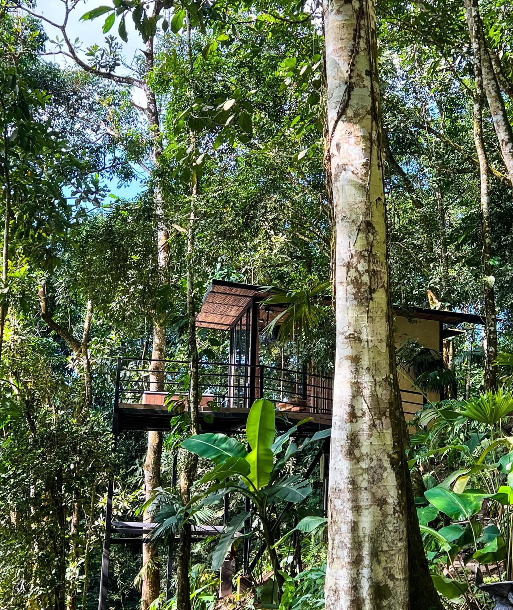 Rincon De La Sierra Minca Hotell Eksteriør bilde